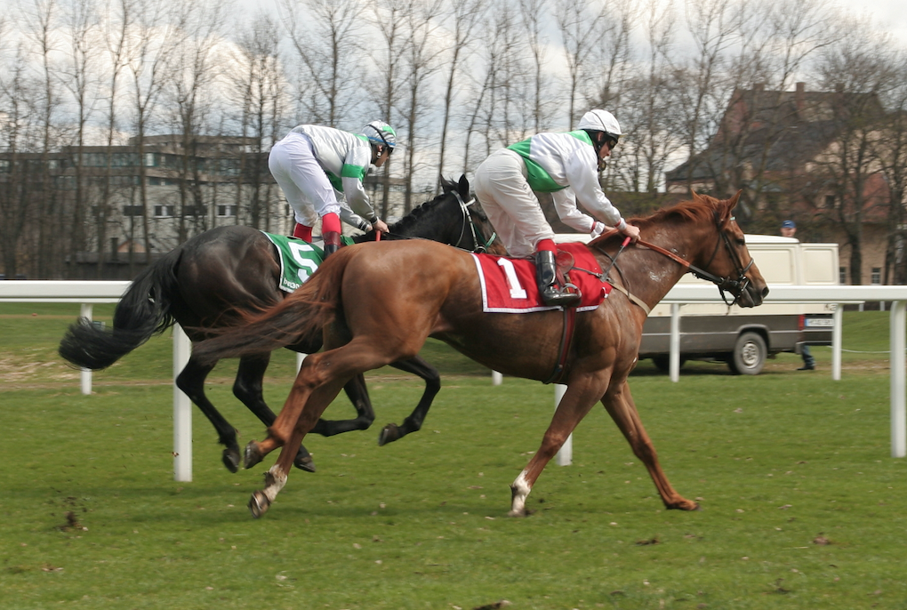 PreRace Trading on Betfair UKFT